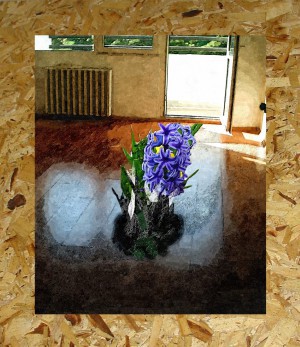 Álom - fotó, számítógépes grafika